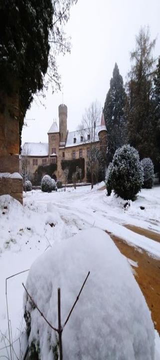 Schloss Hohenstein