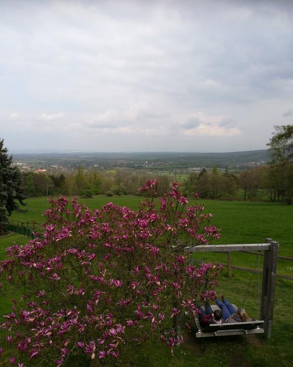 Cafe Goldberg Bad Harzburg